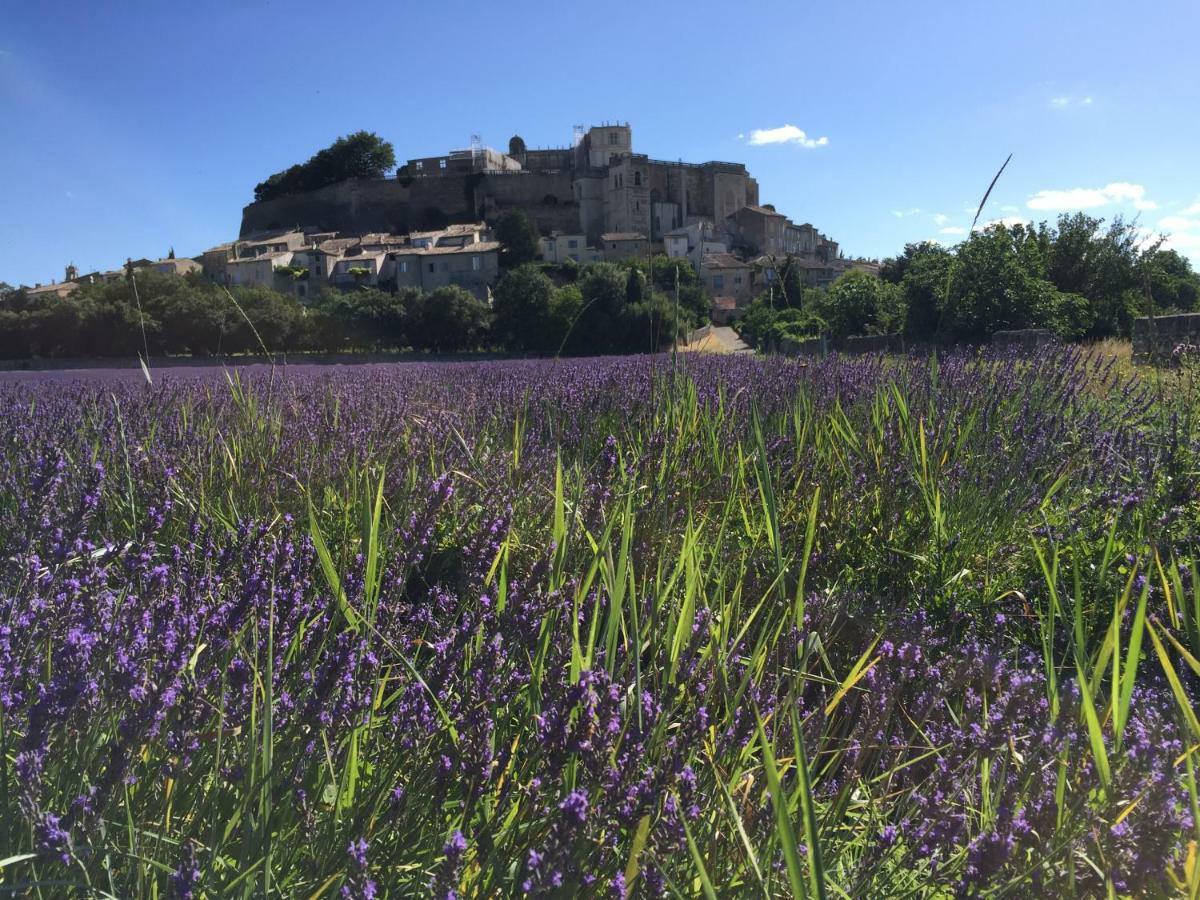 La Vie De Chateau Grignan Bagian luar foto
